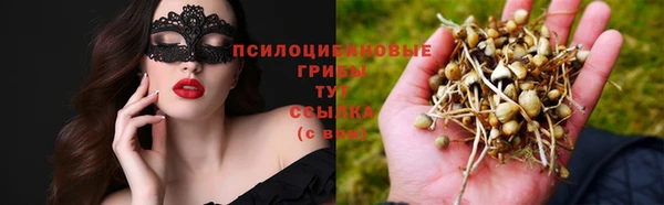 тгк Алексеевка