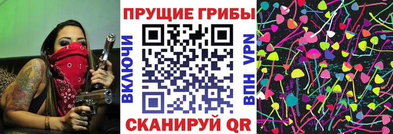 Галлюциногенные грибы Magic Shrooms  цена наркотик  нарко площадка как зайти  Минусинск 