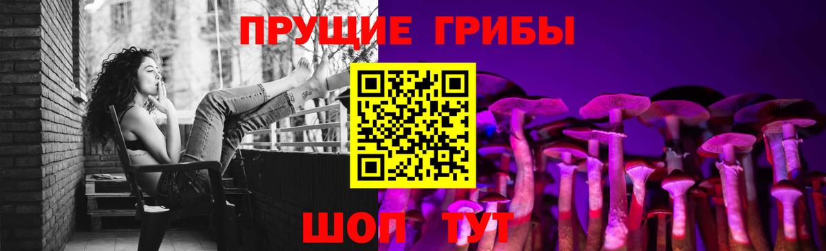 Псилоцибиновые грибы Psilocybine cubensis Минусинск